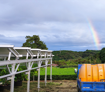 projet de ferme solaire-ferme solaire