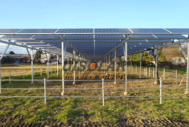Photovoltaïque + agriculture se complètent, utilisant des panneaux solaires pour faire pousser des fruits